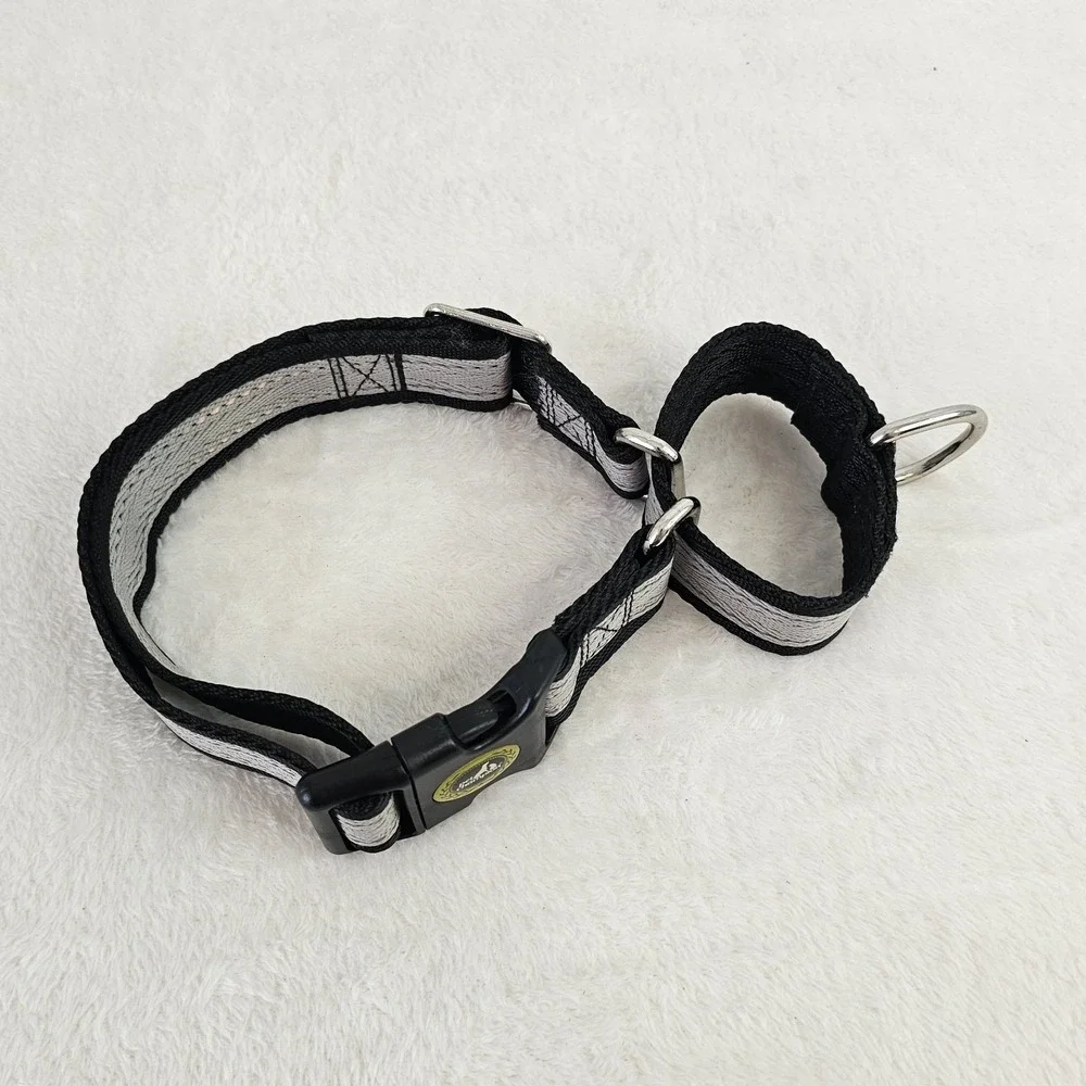 Pet Champion Black Gray Dog Training Collar & Lead 22